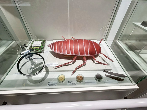 ゼミの様子