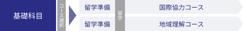 4年間の流れ図
