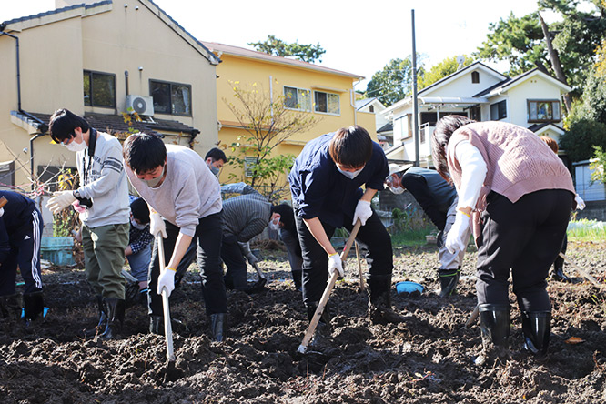 吹田くわい収穫作業の様子