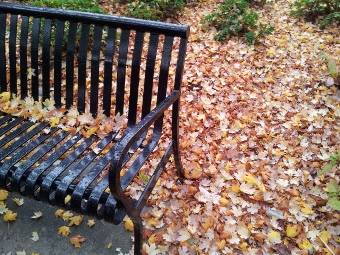 20121026_160950.jpg
