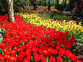 キューケンホフ公園