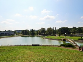 写真1 (2)
