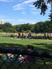 Central Park