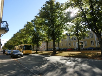 CIMG0592.jpg