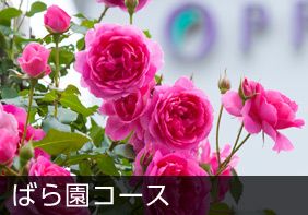 ばら園コース