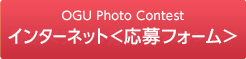 作品応募フォーム