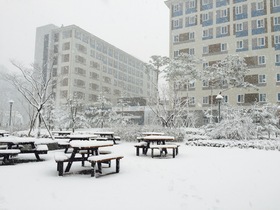 雪のキャンパス.jpeg