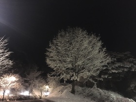 Mei snow.jpg