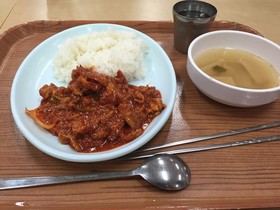 Yurika lunch.jpg