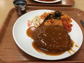 Ayano food.jpg