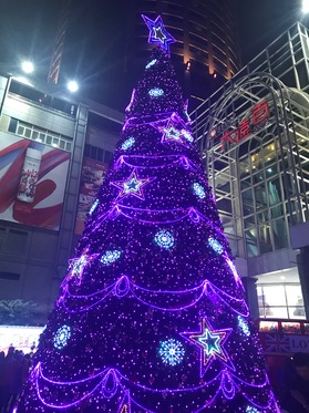 Christmas 2017 Ayame.JPG
